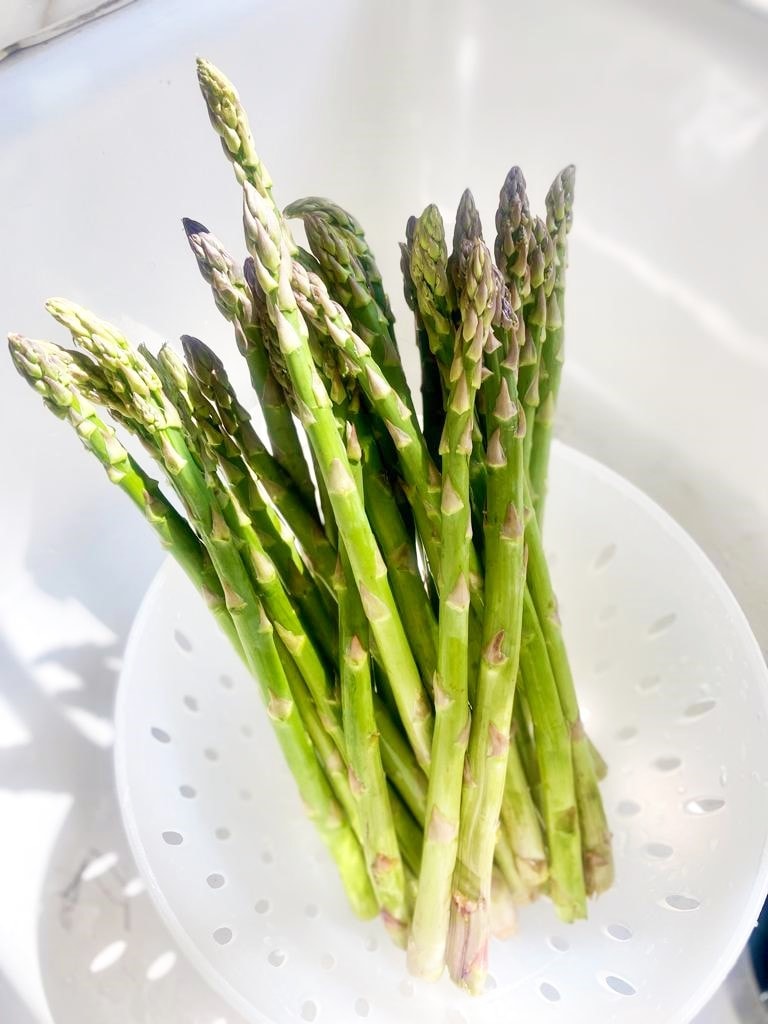 Asparagus spears sitting in a white colander.