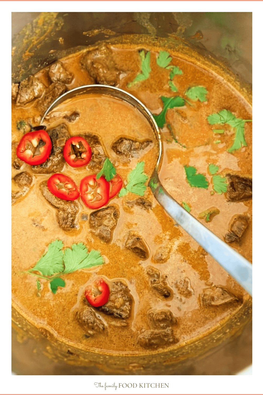 Instant Pot Beef Curry with Coconut Milk - The Family Food Kitchen