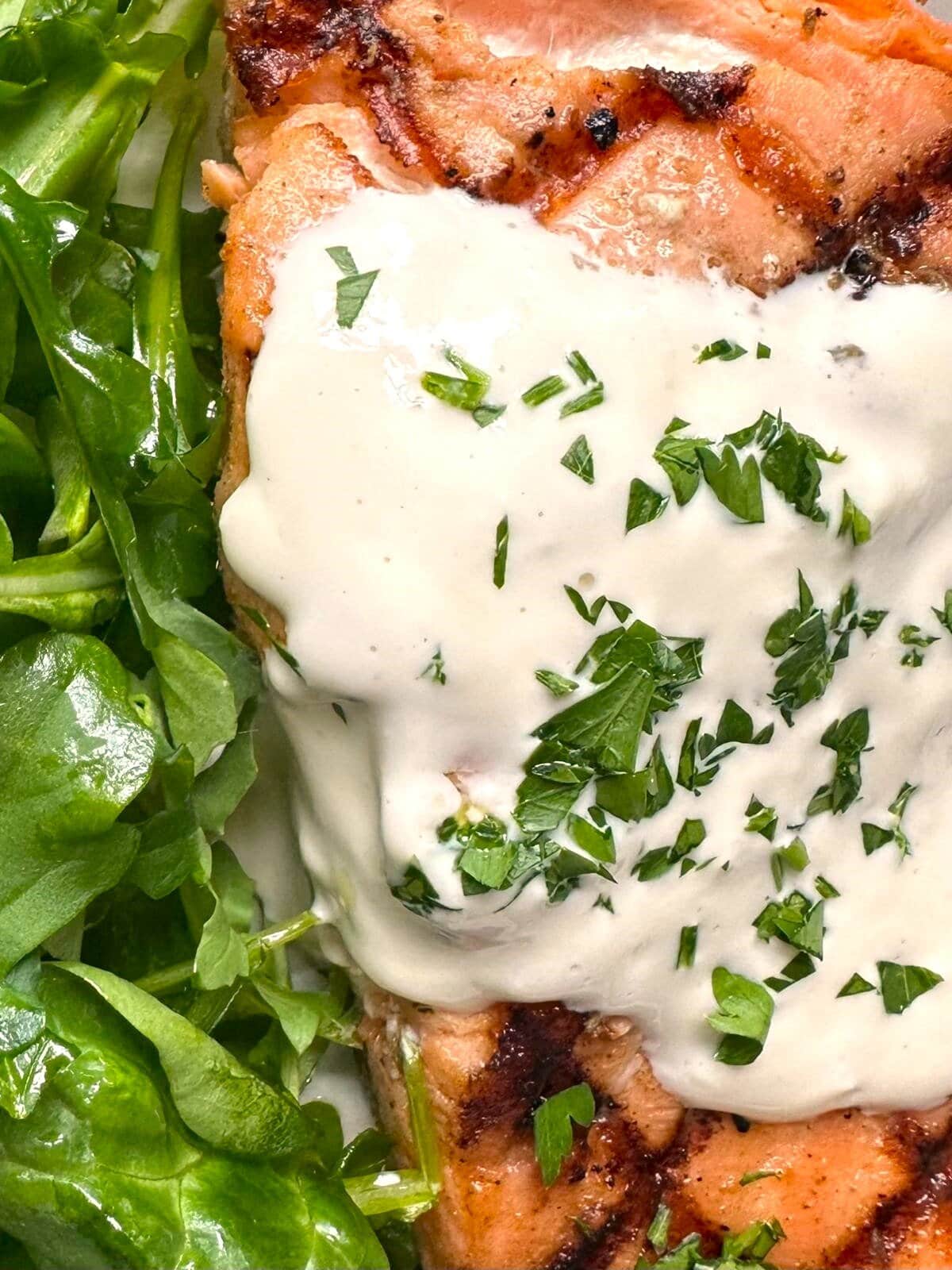 Close up image of grilled salmon fillet served with arugula and topped with lemon aioli and chopped parsley.