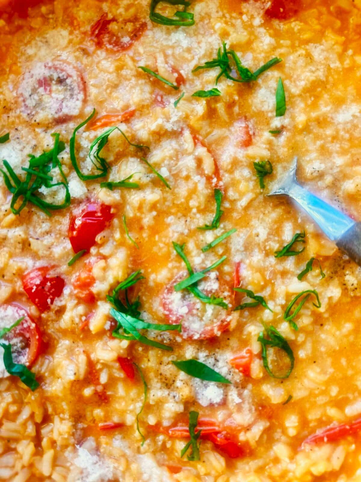 Close up image of creamy cherry tomato risotto, garnished with fresh basil and parmesan cheese.