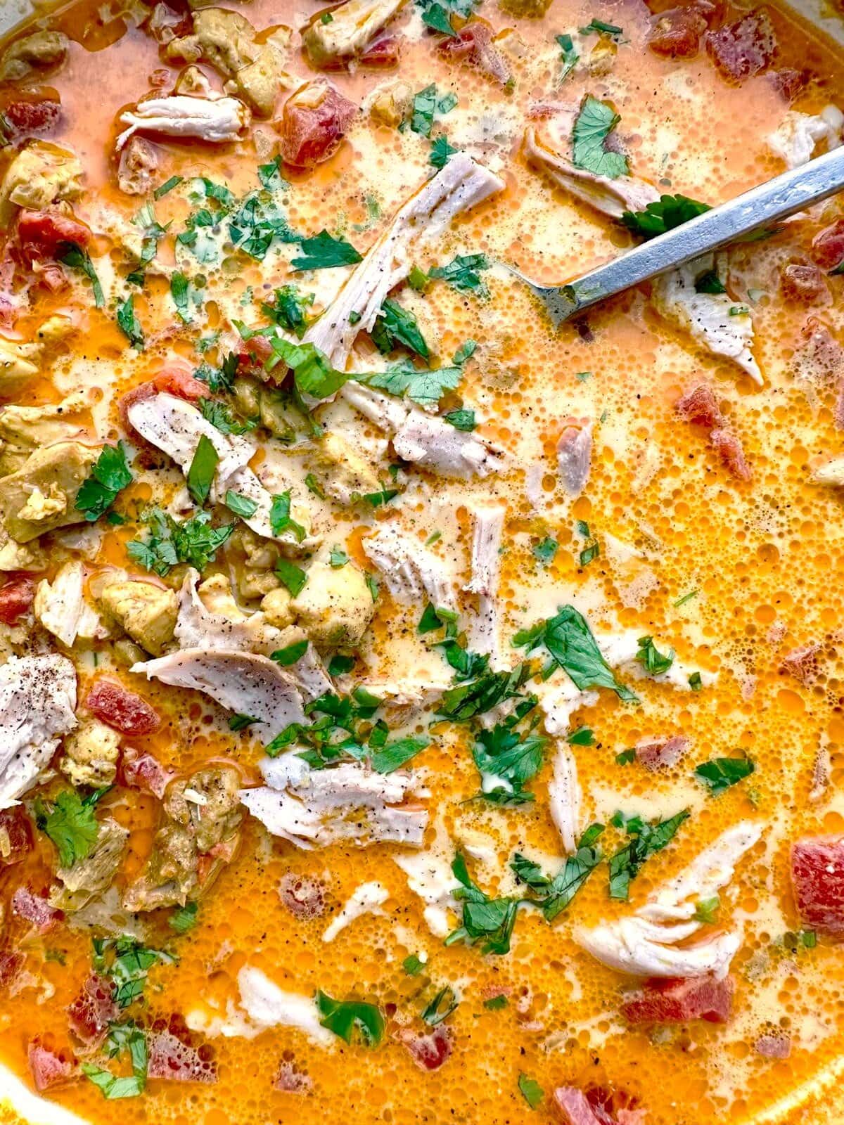 Close up image of chicken tikka masala soup garnished with fresh cilantro.