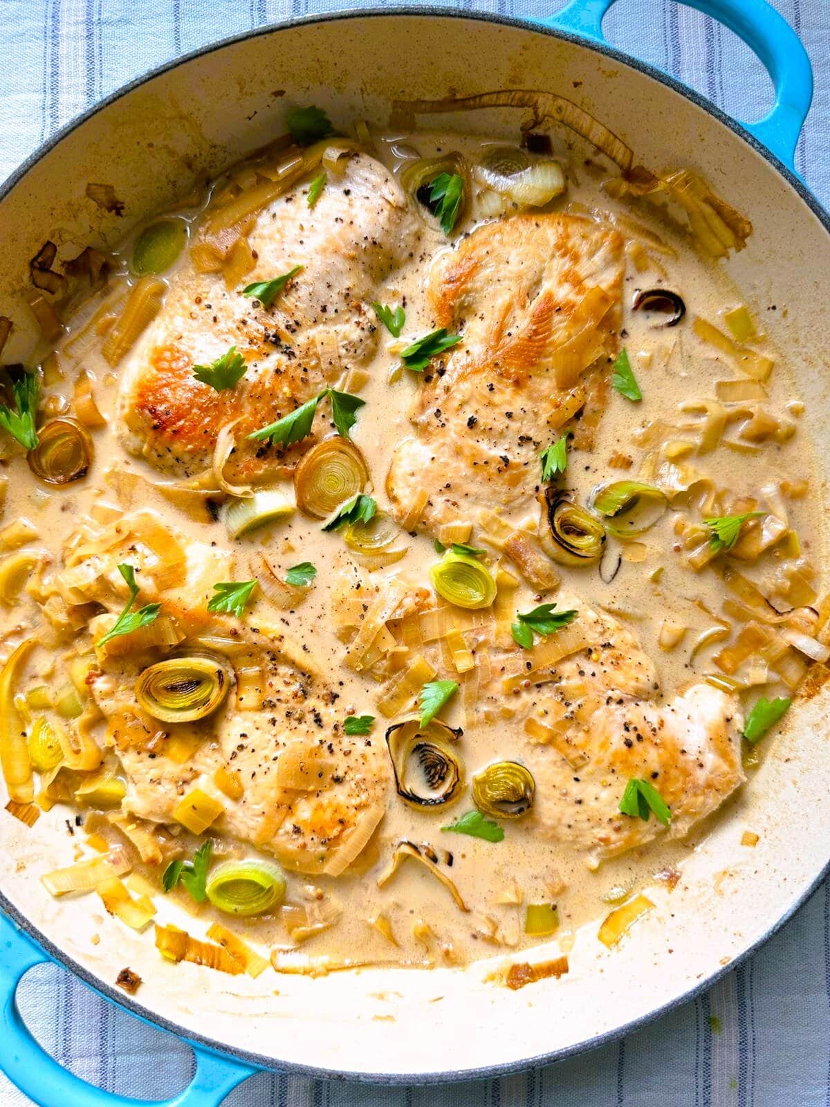 A large skillet of cooked chicken breasts in a creamy mustard and leek sauce.