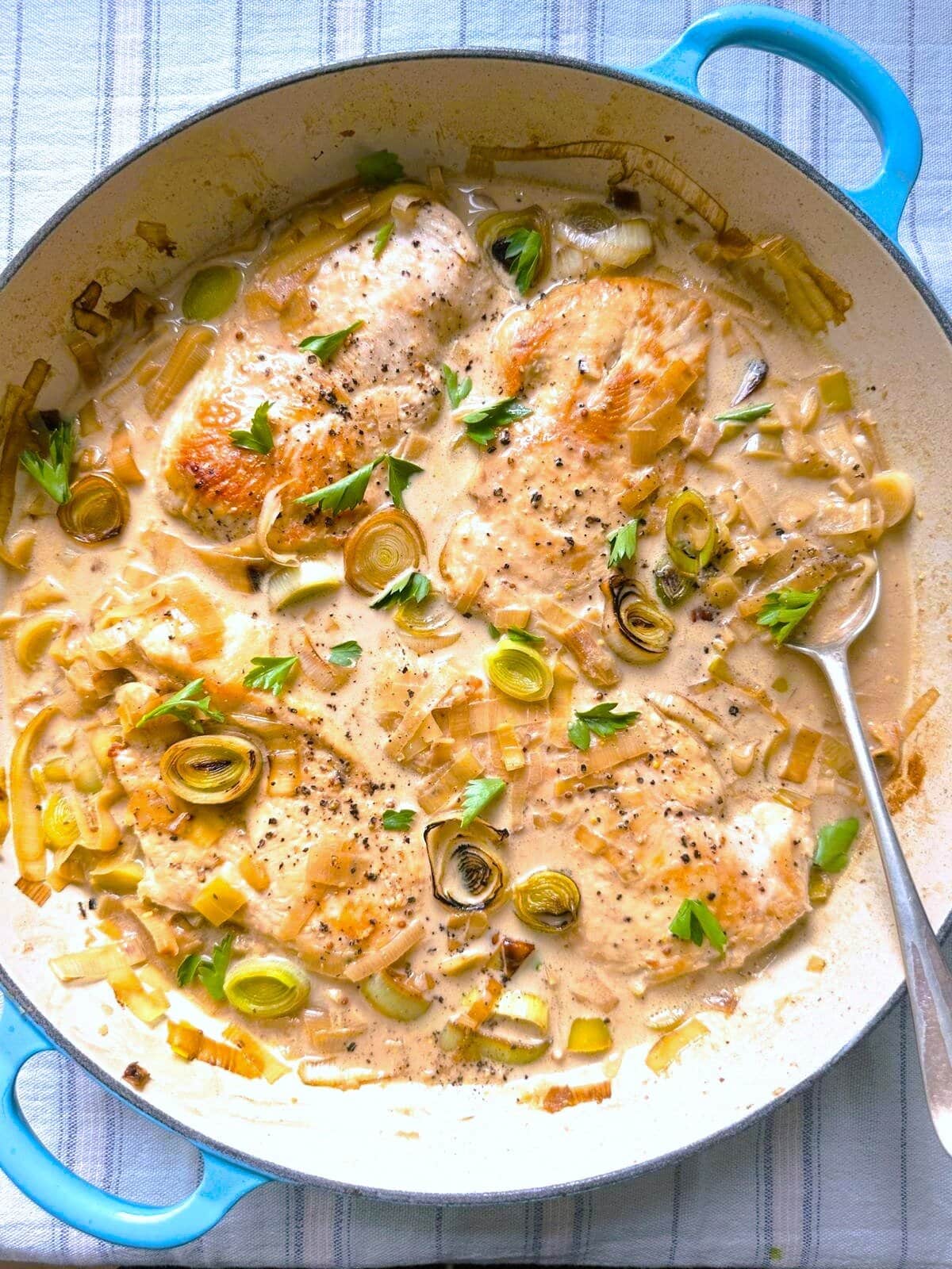 A large skillet of cooked chicken breasts in a creamy mustard and leek sauce.