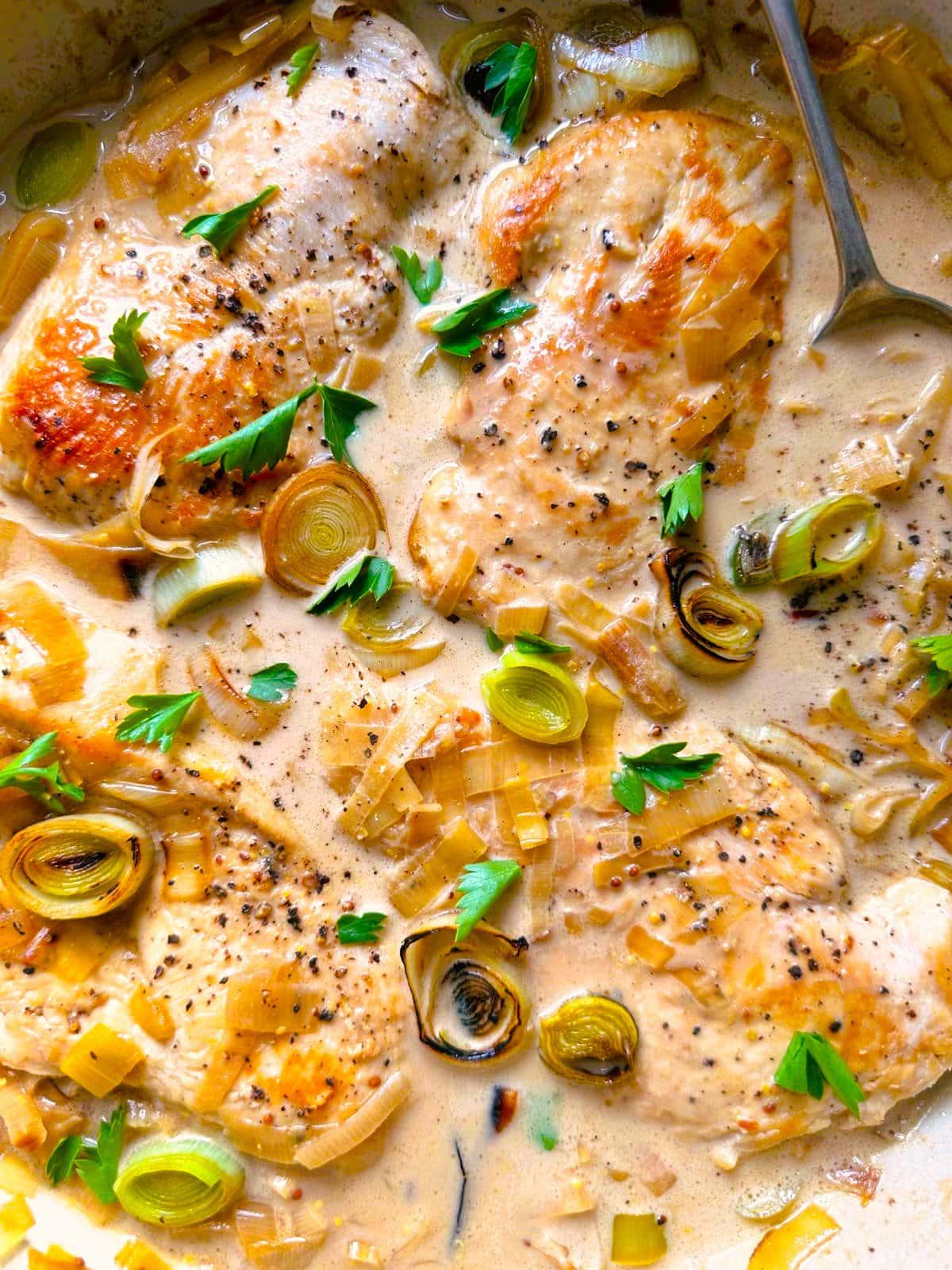 Close up image of cooked chicken breasts in a creamy mustard and leek sauce.